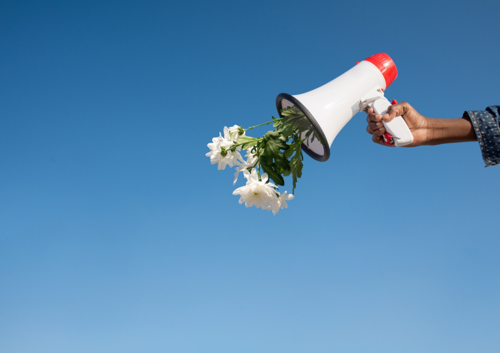 Tulkojumu birojs LMI Translations - Uzņēmuma mājaslapa latviešu valodā - ieguvums biznesam un juridiska nepieciešamība