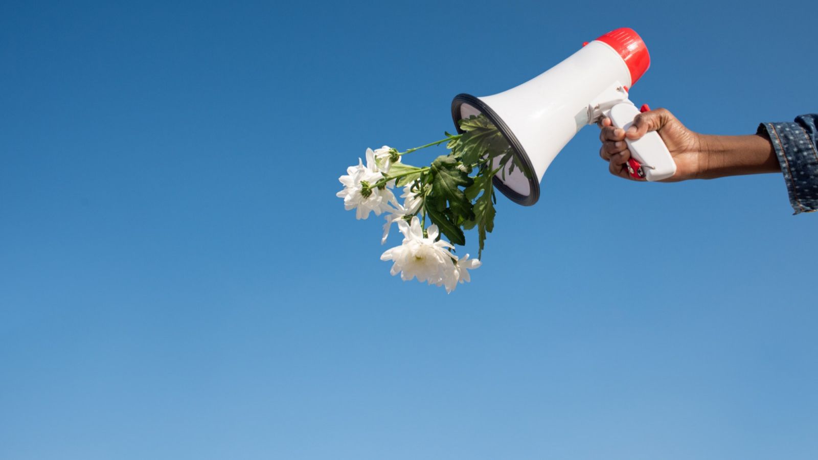 Tulkojumu birojs LMI Translations - Uzņēmuma mājaslapa latviešu valodā - ieguvums biznesam un juridiska nepieciešamība