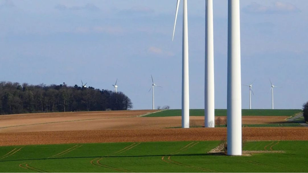 Tulkojumu birojs LMI Translations - Atbildība pret vidi