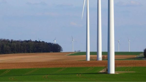 Translation company LMI Translations - Our commitment to the environment