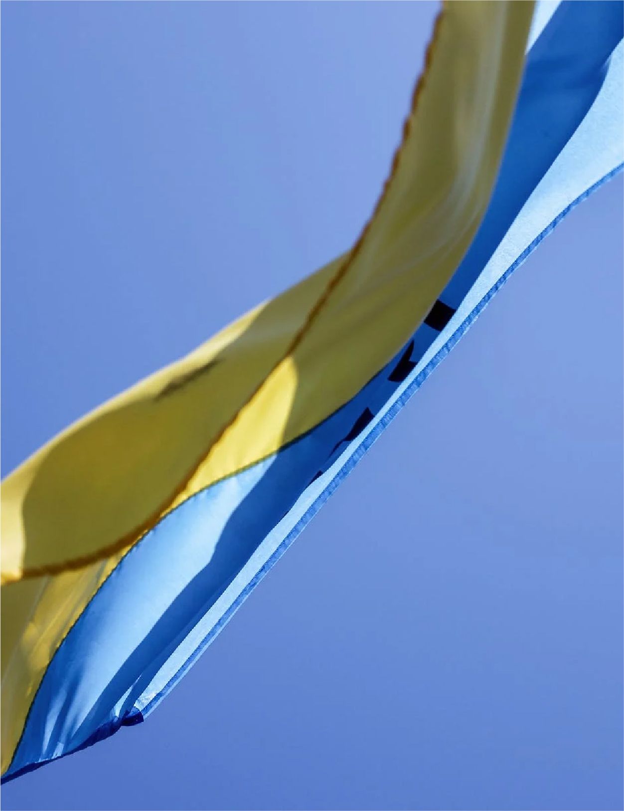 Tulkojumu birojs LMI Translations - labdarības iniciatīva